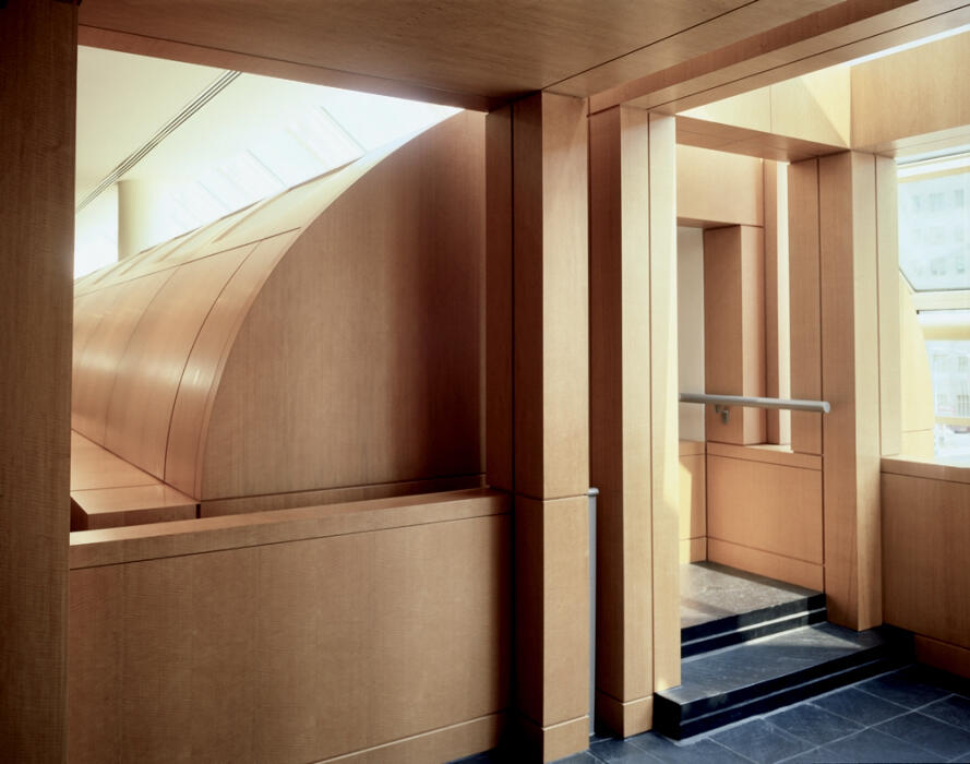 High Muesum Anegre Fiddleback 6.jpeg